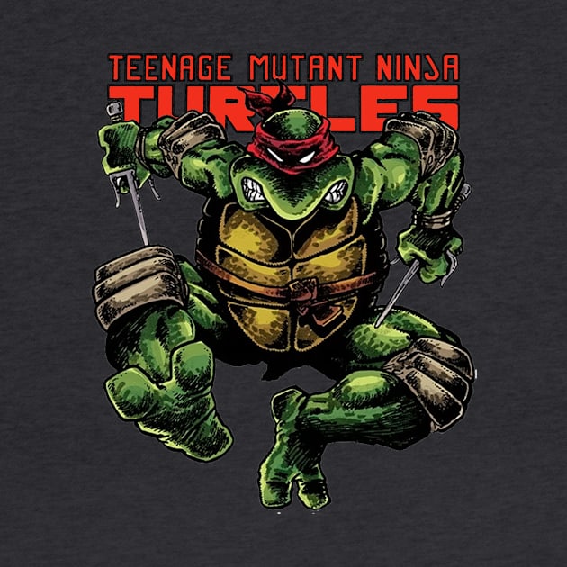 TMNT Raphael by partynerdz